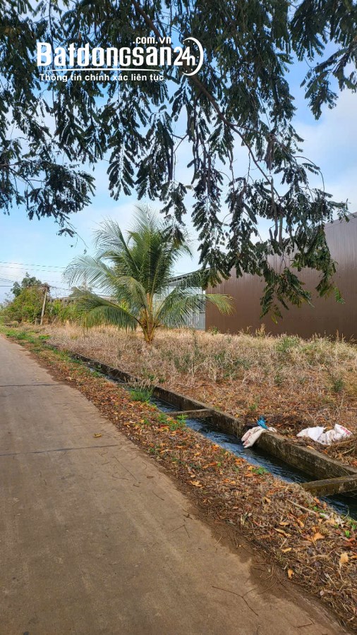 Bán đất Đường Liên Xã, Phường Khánh Xuân, TP Buôn Ma Thuột