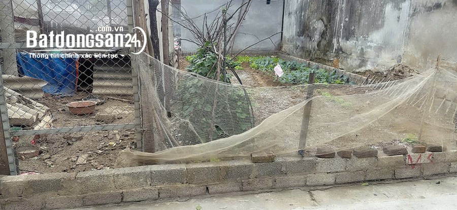 Bán đất Đường Đại lộ Thăng Long, Xã Đồng Trúc, Huyện Thạch Thất