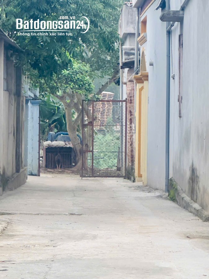 Bán đất Đường Đại lộ Thăng Long, Xã Đồng Trúc, Huyện Thạch Thất