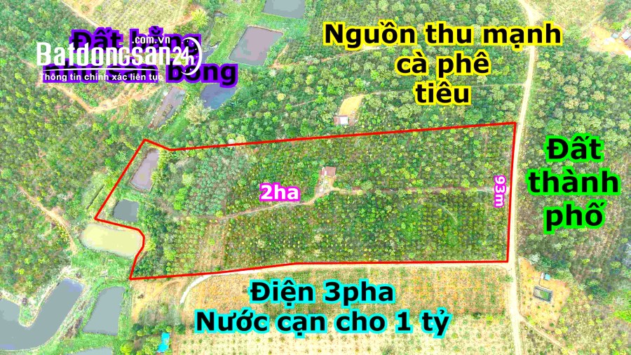 Đất rẫy bằng đẹp nguồn thu mạnh tại Gia Nghĩa Đắk Nông