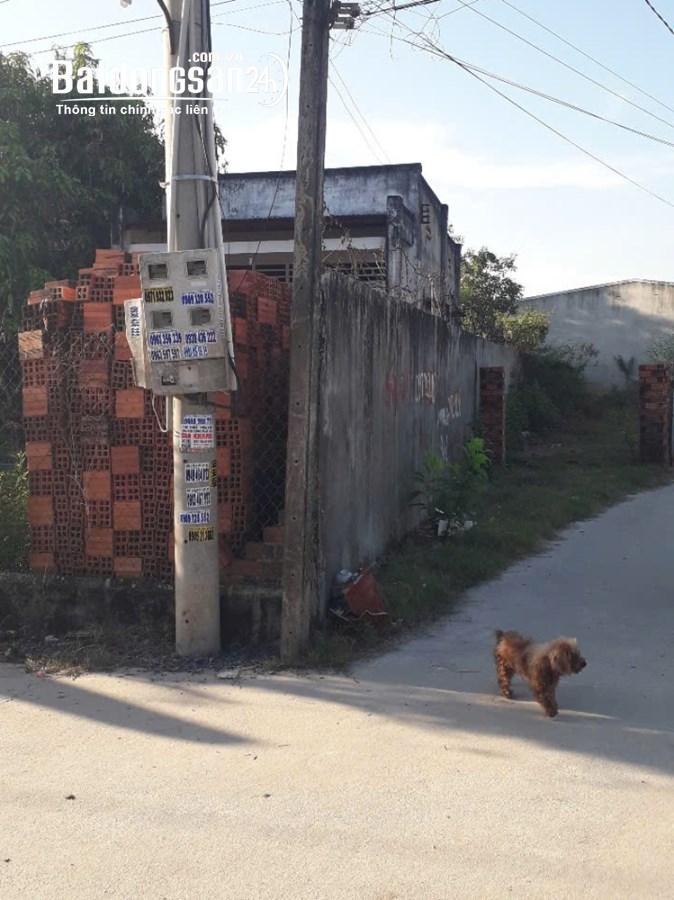 Bán đất Đường Trần Văn Trà, Phường 1, Tp Tây Ninh