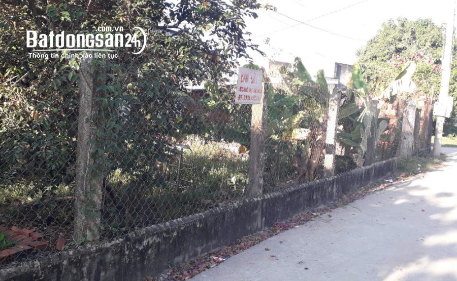 Bán đất Đường Trần Văn Trà, Phường 1, Tp Tây Ninh