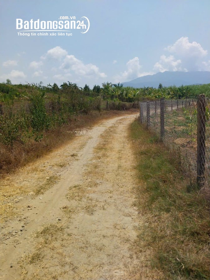 Bán đất Xã Diên Xuân, Huyện Diên Khánh
