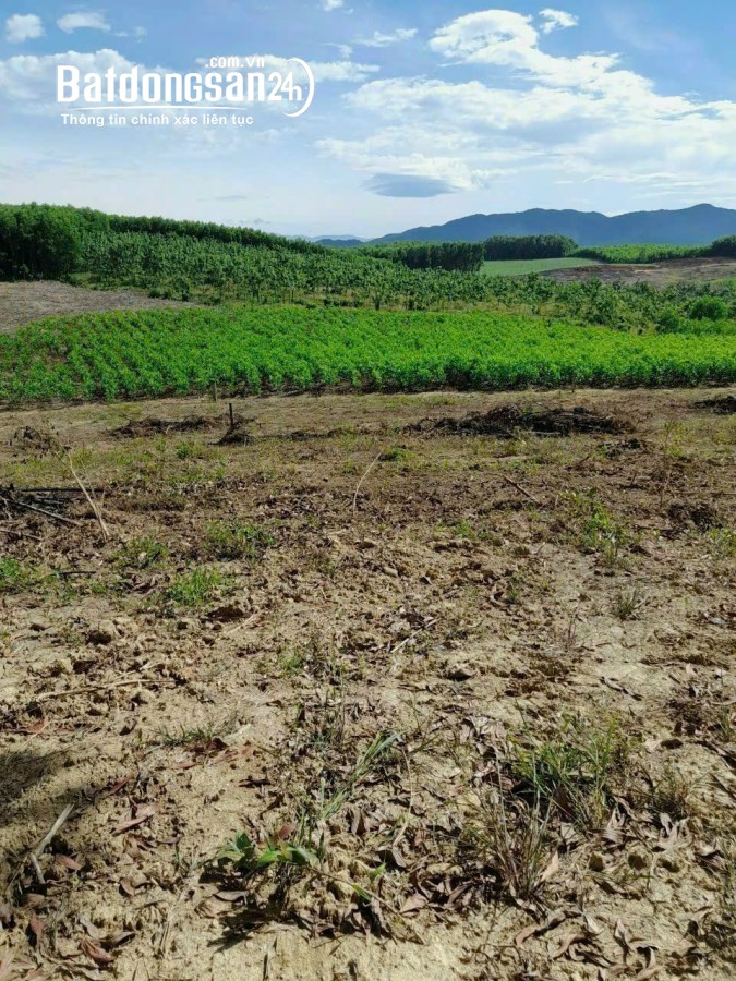 Bán đất Xã Diên Xuân, Huyện Diên Khánh