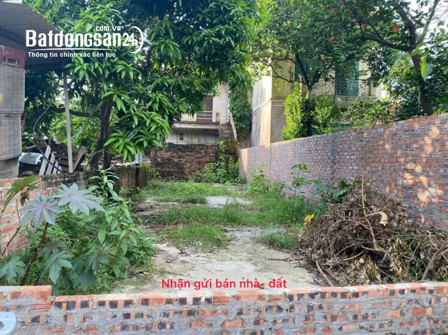Bán đất Chi Đông, Mê Linh, HN. Gần đường Quang Minh và khu công nghiệp