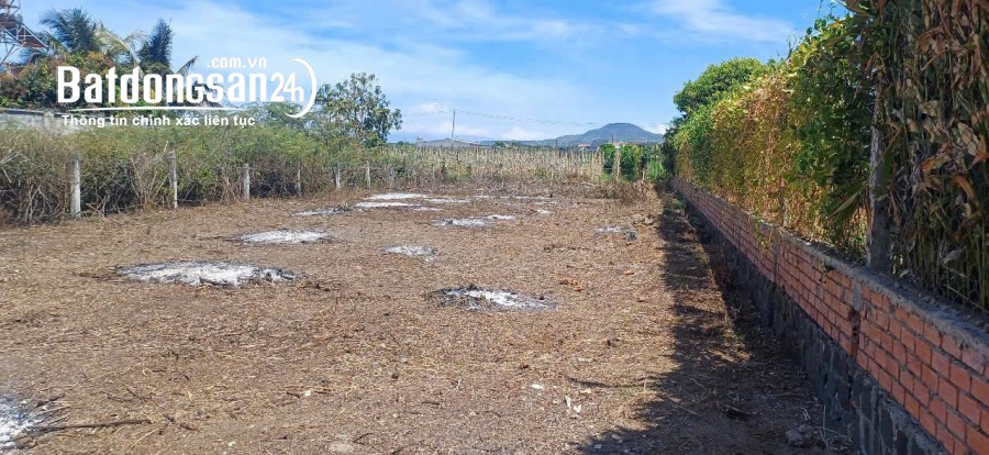 BÁN 181.2M2 ĐẤT TỔ 32 THỊ TRẤN LIÊN NGHĨA ĐỨC TRỌNG LÂM ĐỒNG