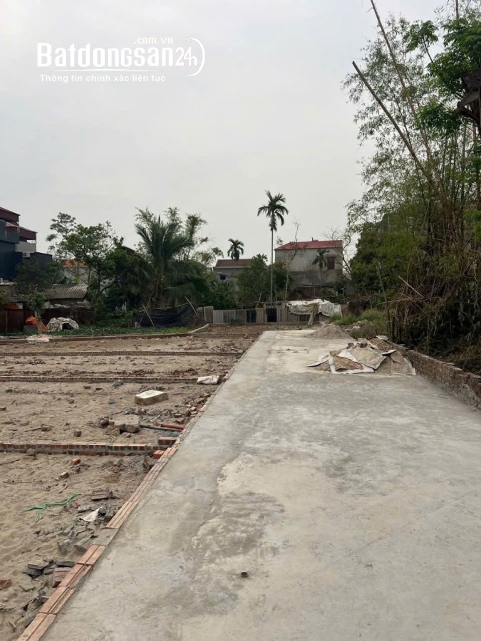 Bán đất Đường Nguyễn Cư Đạo, Xã An Bình, TX Thuận Thành