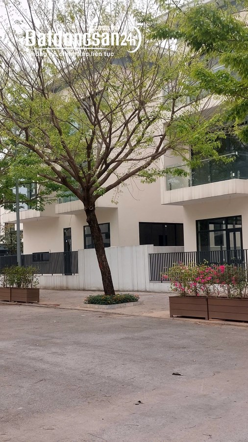 Bán Biệt thự-Villas An Quý-KĐT Dương Nội, Phường Dương Nội, Quận Hà Đông