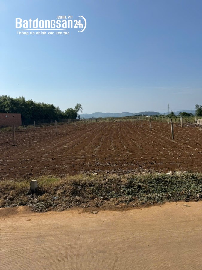 BÁN 462M2 ĐẤT PHÚ HỘI ĐỨC TRỌNG - CÓ SẴN 100M2 THỔ CƯ