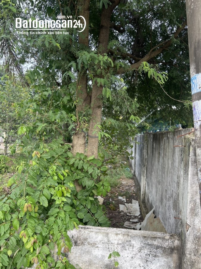 Bán đất Xã Bình Mỹ, Huyện Củ Chi