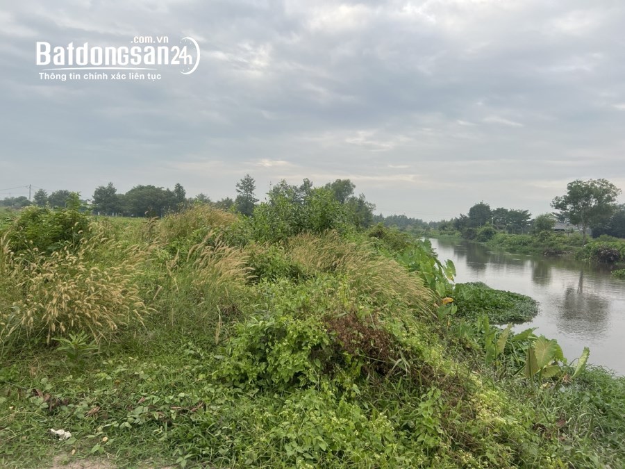 Bán đất Xã Bình Mỹ, Huyện Củ Chi