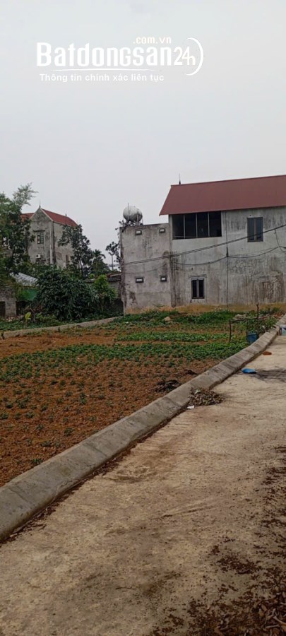 Bán đất gần Đường Quốc Lộ 6, Xã Thanh Bình, Huyện Chương Mỹ