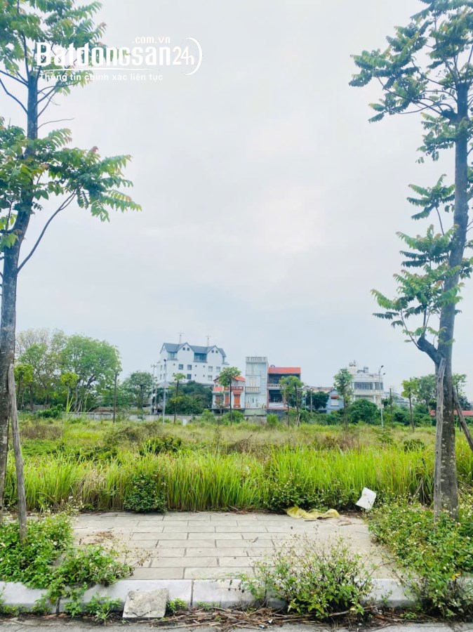 Bán đất nền phân lô KĐT Bắc Đầm Vạc, Phường Đống Đa, Tp Vĩnh Yên