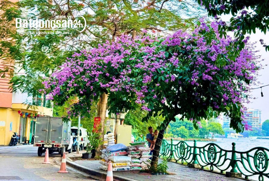Bán nhà Đường Võ Chí Công, Phường Nghĩa Đô, Quận Cầu Giấy