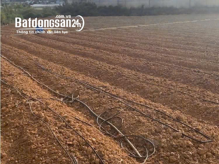 BÁN 6000M2 ĐẤT XÃ HIỆP AN - ĐỨC TRỌNG LÂM ĐỒNG - Giá bán : 13 tỷ