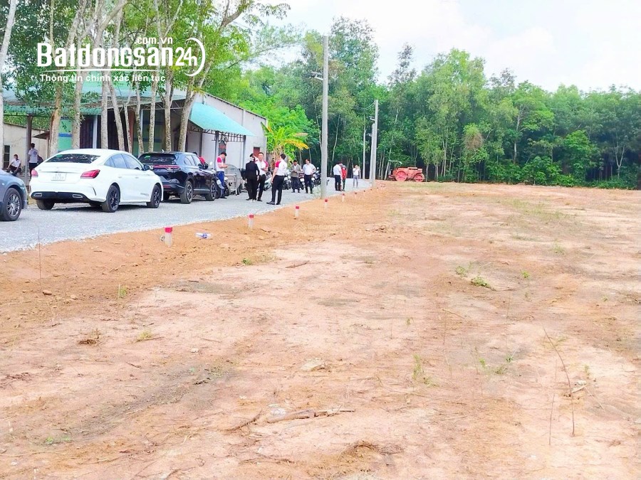 Bán đất sổ sẵn đường trải nhựa Long Tân - Dầu Tiếng - Bình Dương