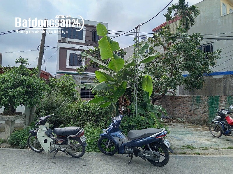 Bán đất Đường Đồng Hòa, Phường Đồng Hòa, Quận Kiến An