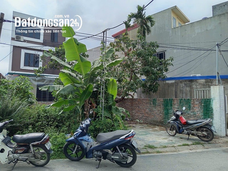 Bán đất Đường Đồng Hòa, Phường Đồng Hòa, Quận Kiến An