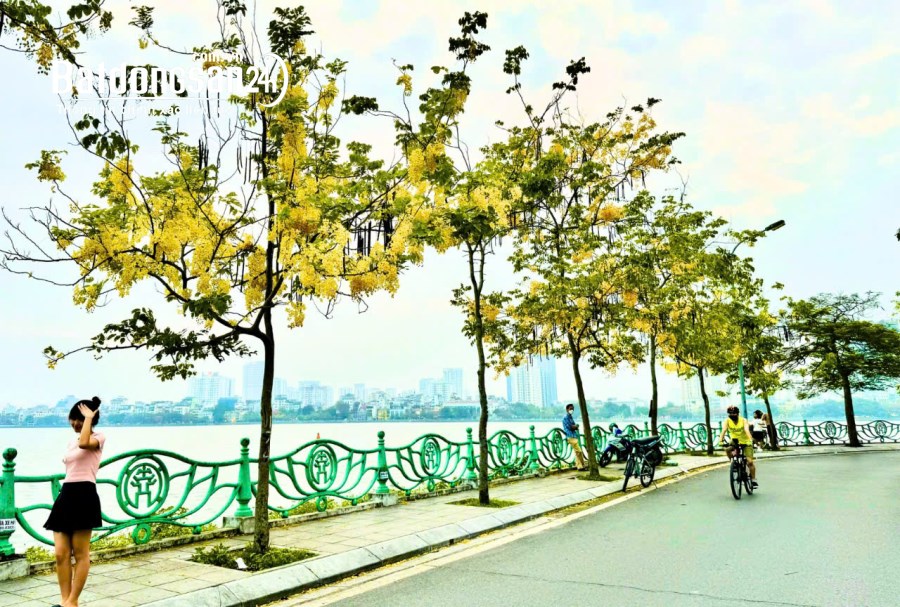 Bán nhà mặt tiền Đường Lạc Long Quân, Phường Nghĩa Đô, Quận Cầu Giấy