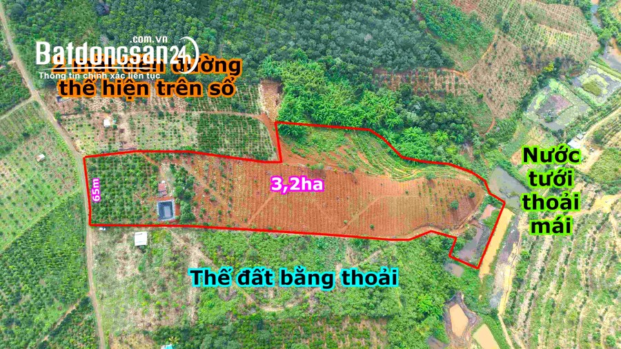 3,2ha đất trồng cà phê, tiêu, sầu riêng, cây ăn trái gần trung tâm Gia Nghĩa