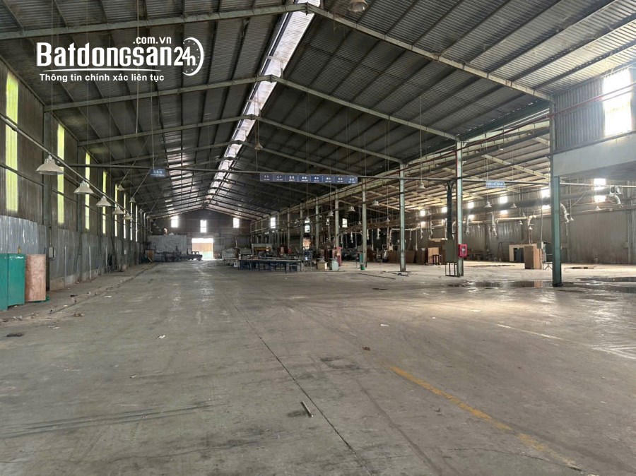 Cho thuê kho-xưởng Đường ĐT 743, Phường Bình Chuẩn, TP Thuận An