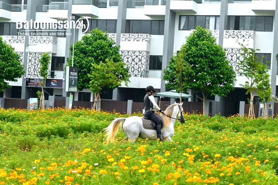 Booking đợt 2 dự án Trung Nguyên, chiết khấu cao đến 14%. 