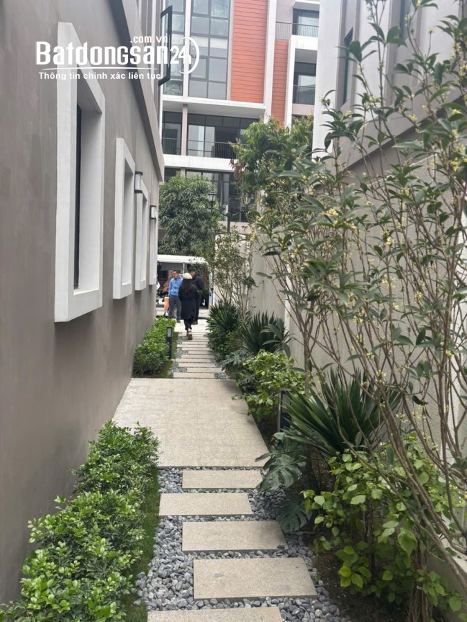 Cho thuê Liền kề-Shophouse Vinhomes Ocean Park, Đường 179, Huyện Văn Giang