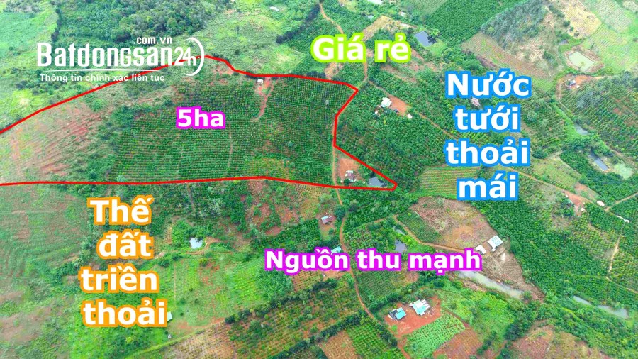 Bán đất Đường Quốc lộ 14, Phường Quảng Thành, TP Gia Nghĩa