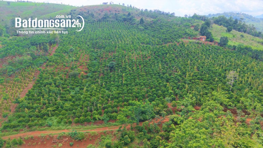 Bán đất Đường Quốc lộ 14, Phường Quảng Thành, TP Gia Nghĩa
