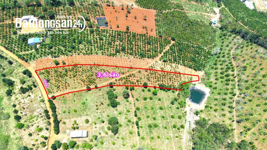 đất sào bất động sản giá rẻ mặt đường nhiều tại gia nghĩa