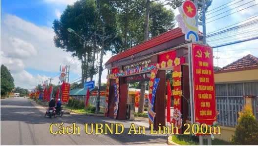 Bán đất Đường DH507 An Linh - Phú Giáo, gần trường - chợ