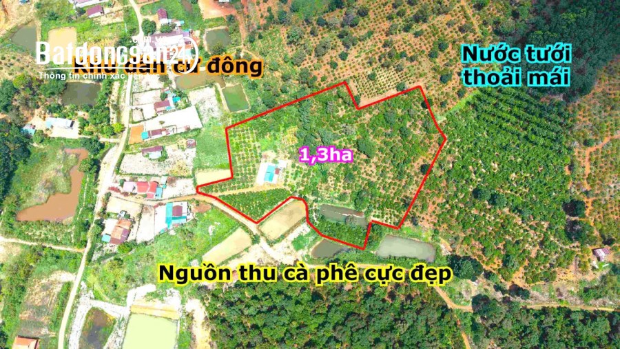 Bán đất thôn Nghĩa Hòa, gần Quốc lộ 14, Phường Quảng Thành, TP Gia Nghĩa