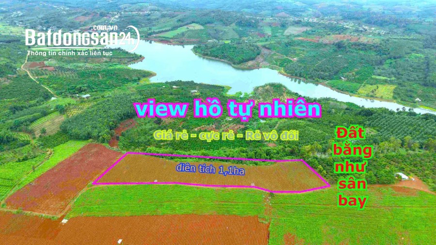 Bán đất Xã Đắk RTih, Huyện Tuy Đức