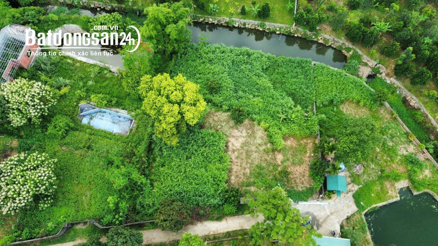 BÁN LÔ ĐẤT BÁM SUỐI – CƯ YÊN, LƯƠNG SƠN, HÒA BÌNH