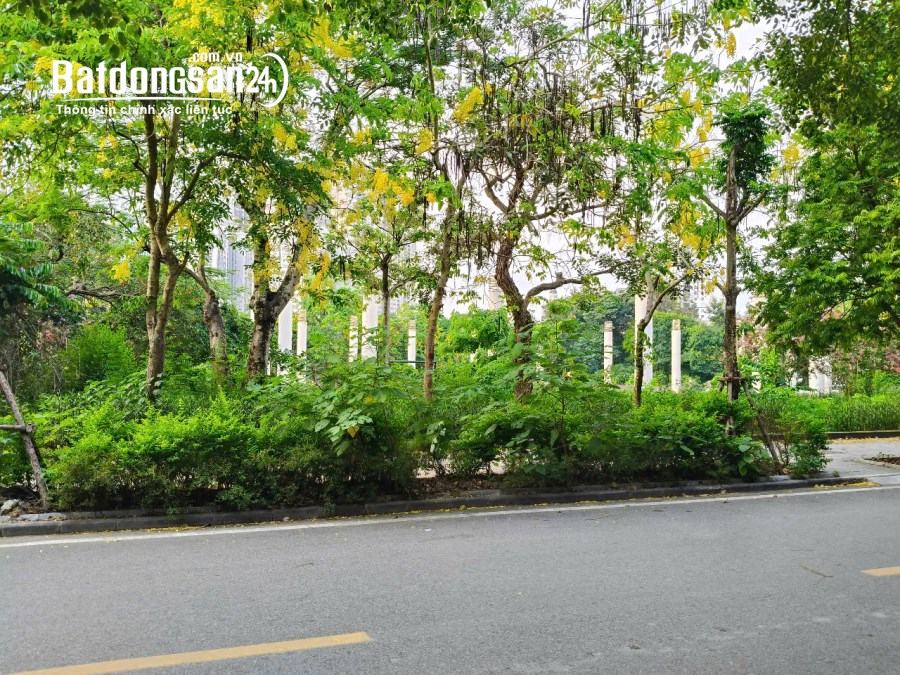 Bán Liền kề-Shophouse KĐT Văn Phú, Đường Phúc La, Quận Hà Đông