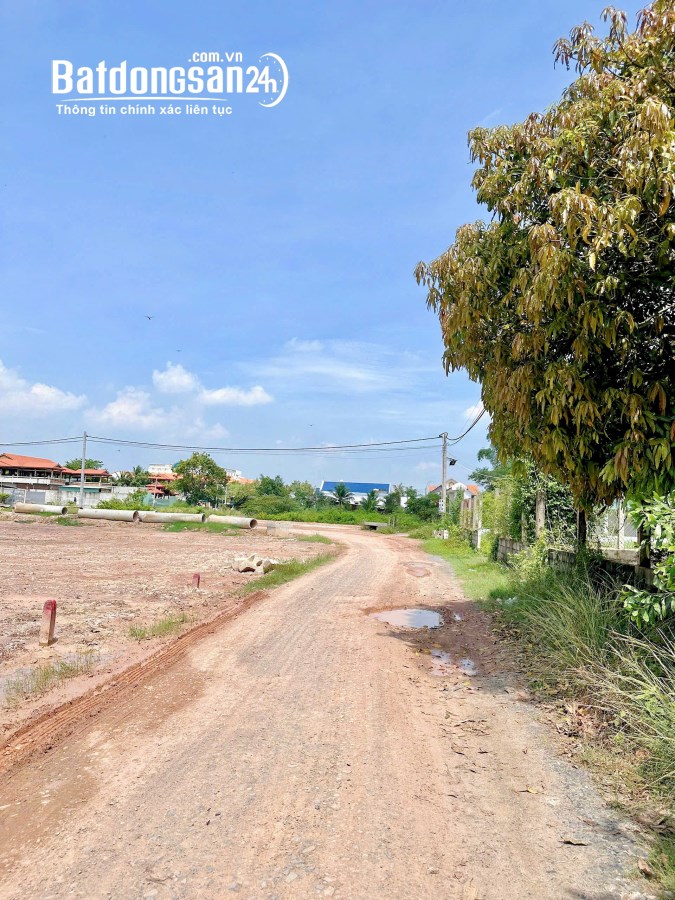 Bán đất Đường 825, Thị trấn Hậu Nghĩa, Huyện Đức Hoà