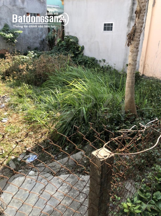 Bán đất ngay cầu Ông Thìn, Đường Quốc Lộ 50, Xã Quý Đức, Huyện Bình Chánh