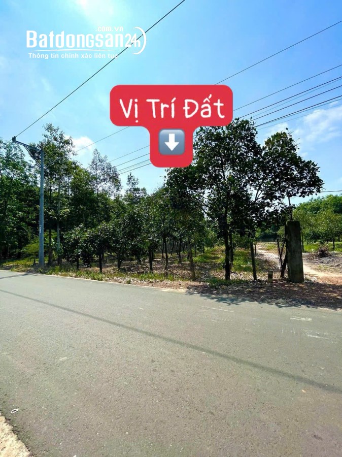 Bán đất Đường 1D, Xã Tân Định, Tp Bến Cát