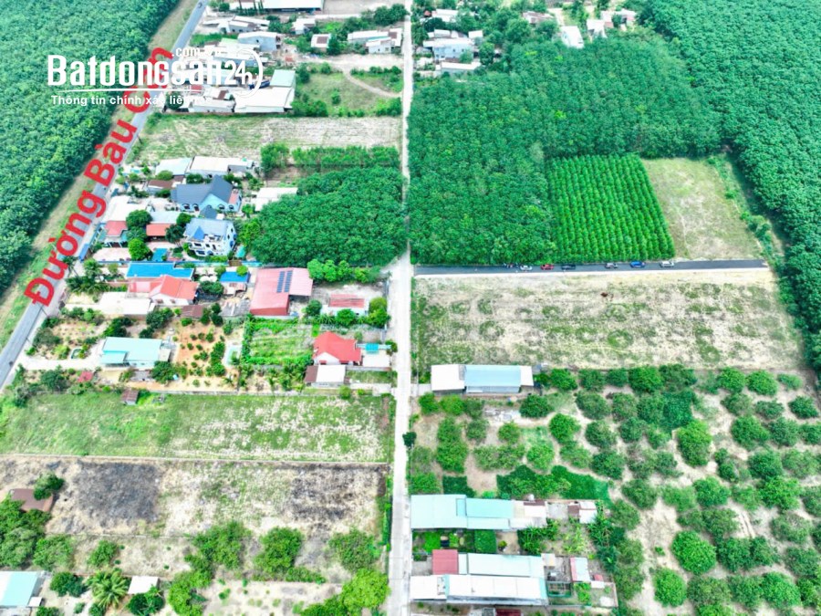 Long Thành- Đất nền đầu tư sinh lời tại Bàu Cạn – 100m², ô tô vào tận nơi, chỉ 1.5 tỷ!