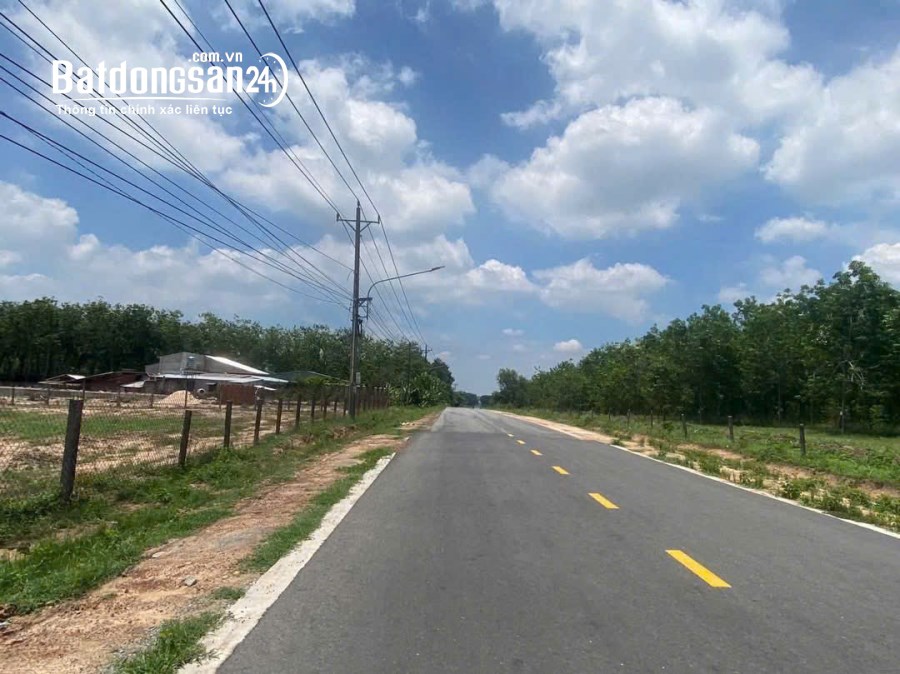 Bán đất Đường DH504, Xã An Linh  , Huyện Phú Giáo
