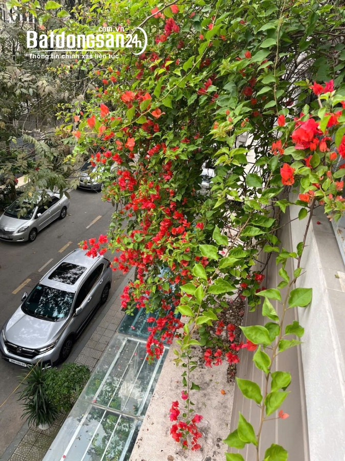 Bán Liền kề-Shophouse KĐT An Hưng, Đường Nam Cường, Quận Hà Đông