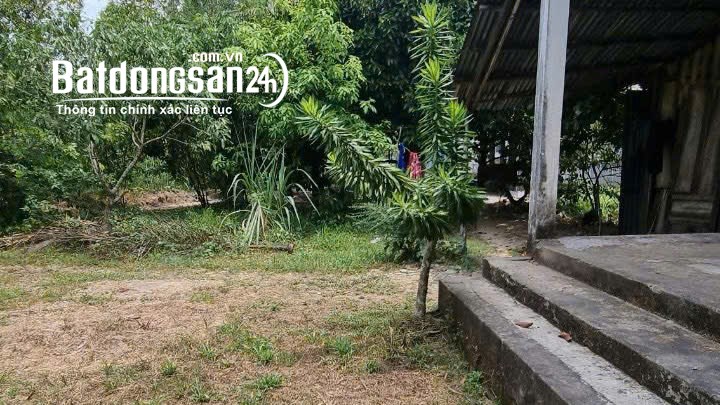 Bán đất Vàm Xáng, Xã Nhơn Nghĩa, Huyện Phong Điền