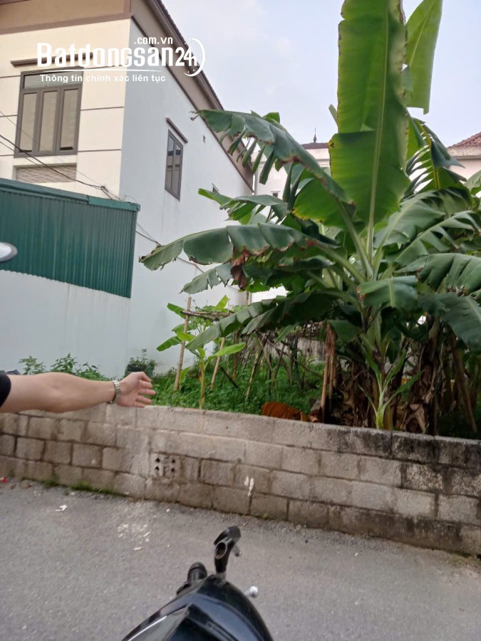 Bán đất Đường 179, Xã Nghĩa Trụ, Huyện Văn Giang