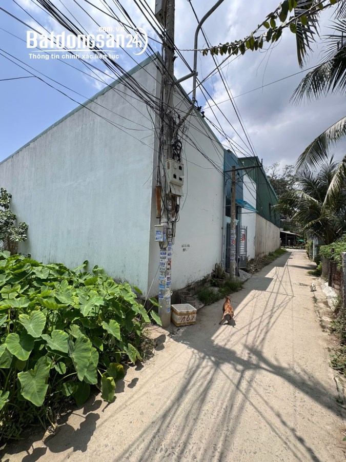 Bán kho-xưởng đường Núi Cấm 1, Phường Nam Nha Trang, Khánh Hòa