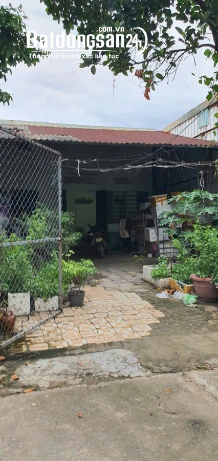 Bán đất tặng kèm nhà cấp 4 Đường Hoàng Văn Thái, Phường Hòa Khánh Nam, Liên Chiểu