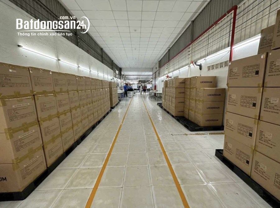 Cho thuê kho-xưởng Đường Quốc lộ 1A, Phường An Phú Đông, Quận 12