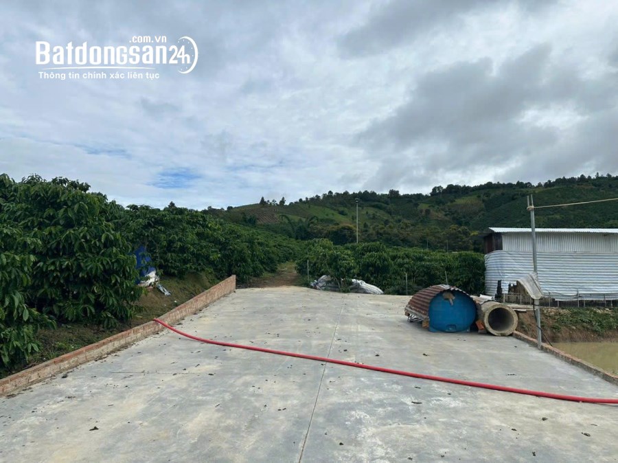 Bán 21000m2 ( 21 sào ) đất nhà , ao, vườn cà phê -Xã Liên Hiệp - Đức Trọng