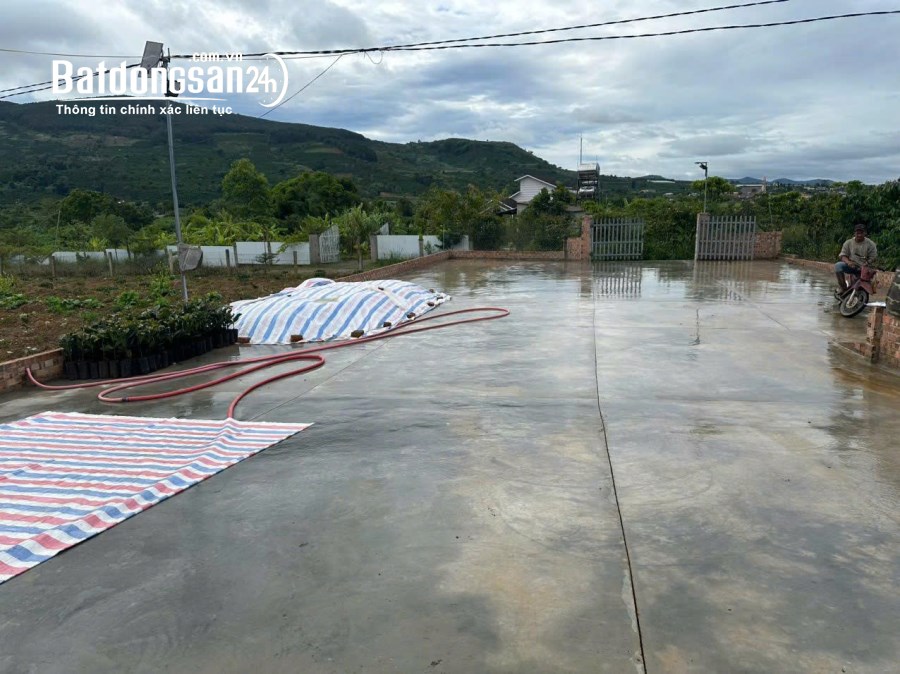Bán 21000m2 ( 21 sào ) đất nhà , ao, vườn cà phê -Xã Liên Hiệp - Đức Trọng