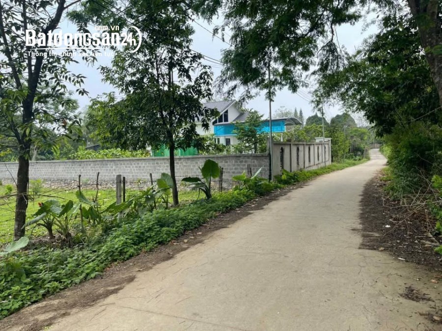 Bán đất gần Quốc lộ 6 (Huyện Lương Sơn cũ), Xã Liên Sơn, Phú Thọ