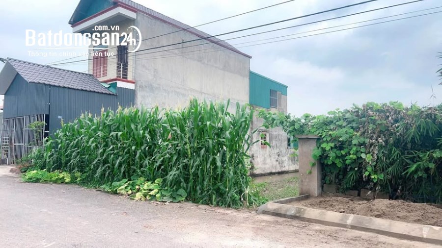 Bán đất Xã Tiền Hải, Hưng Yên